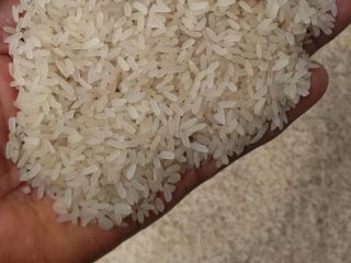 Arroz Abakilike bien pulido disponible. Es piedra y arena