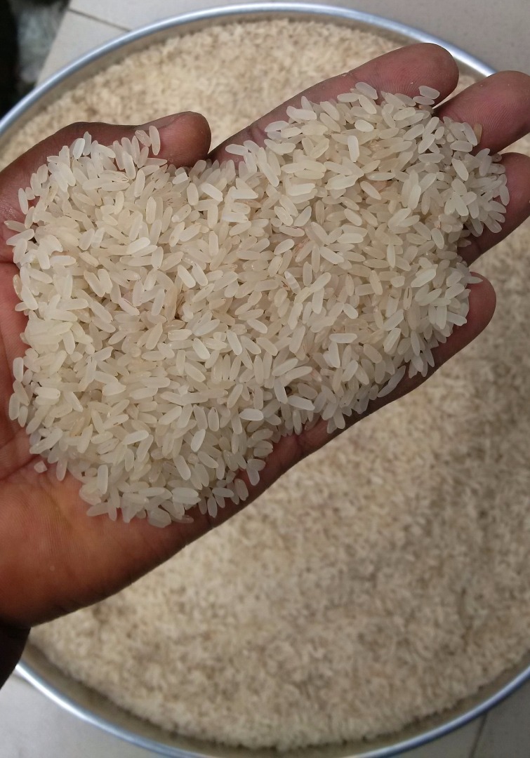 Arroz Abakilike bien pulido disponible