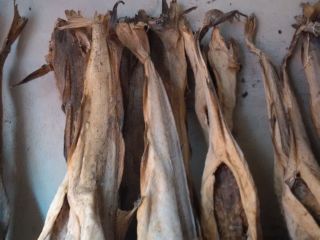 Arroz nigeriano bien pulido disponible. Stock de carne de