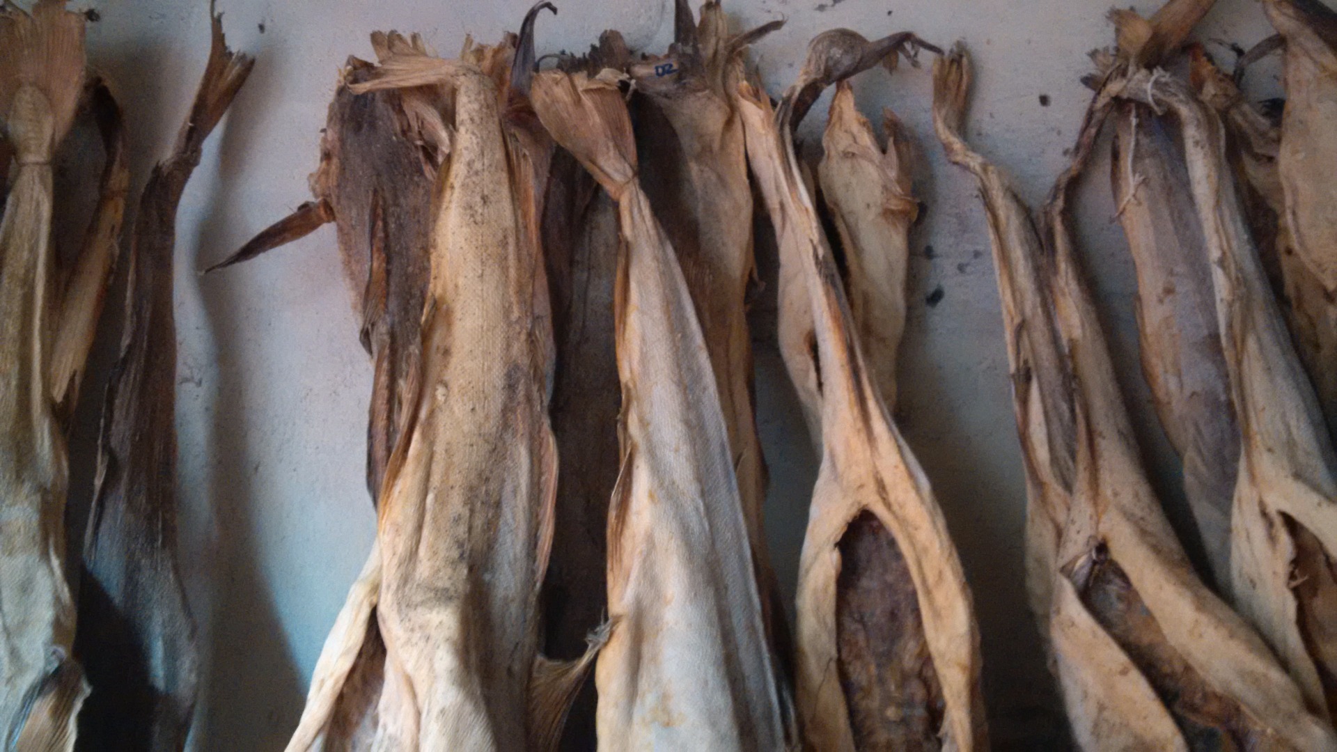 Arroz nigeriano bien pulido disponible