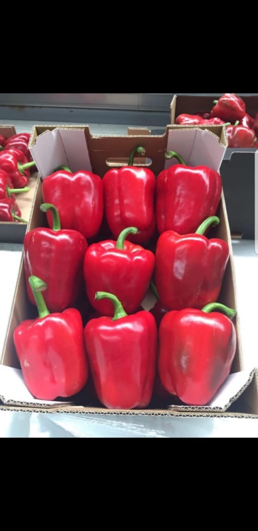 Venderé pimiento rojo, clase 1