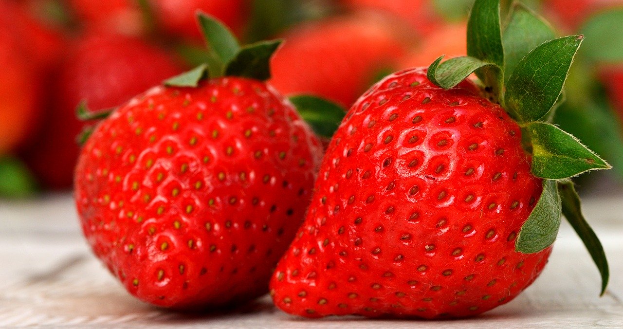 Venderé fresas del suelo (debajo de una tela no tejida), una variedad de rumba, muy dulce y sabrosa