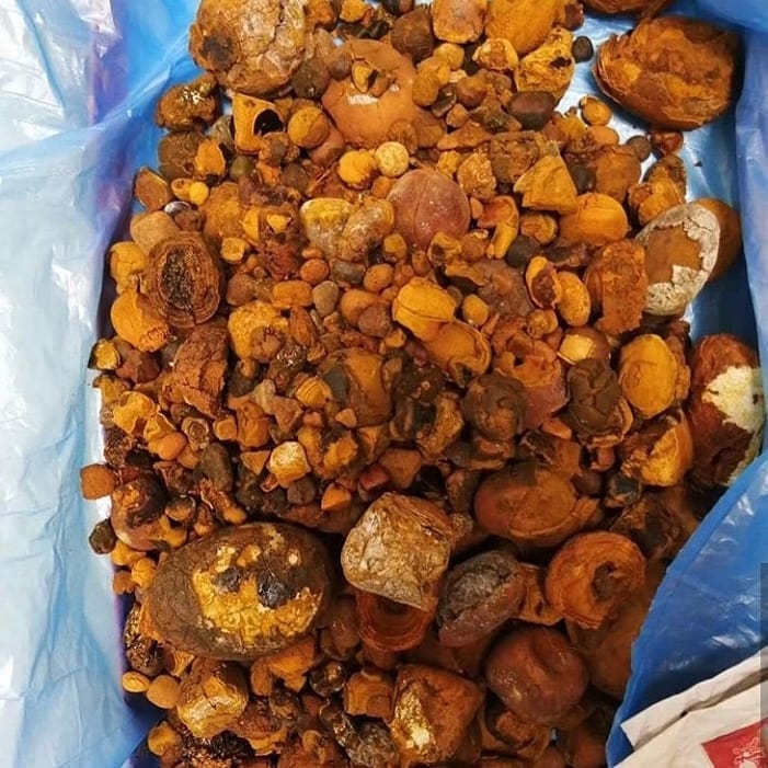 cálculos biliares de ganado disponibles para usted hoy en cualquier cantidad