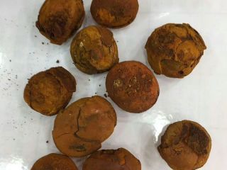piedra biliar de ganado disponible para usted hoy en
