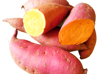 HARVEST GROUP Ltd se dedica al cultivo de batatas