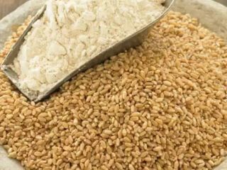 Ofrecemos productos de la más alta calidad con entrega