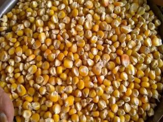 Ofrecemos productos de la más alta calidad con entrega