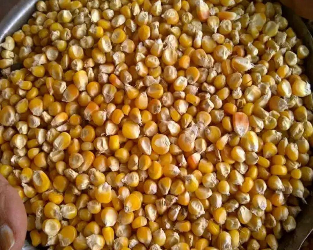 Ofrecemos productos de la más alta calidad con entrega a su lugar de producción