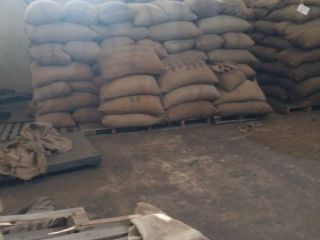 Anacardos crudos Precio: EUROS 1108.89 Marca: Nueces y granos