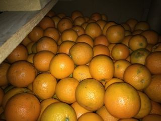 Venderé zumo de naranja clase 2 en contenedores de