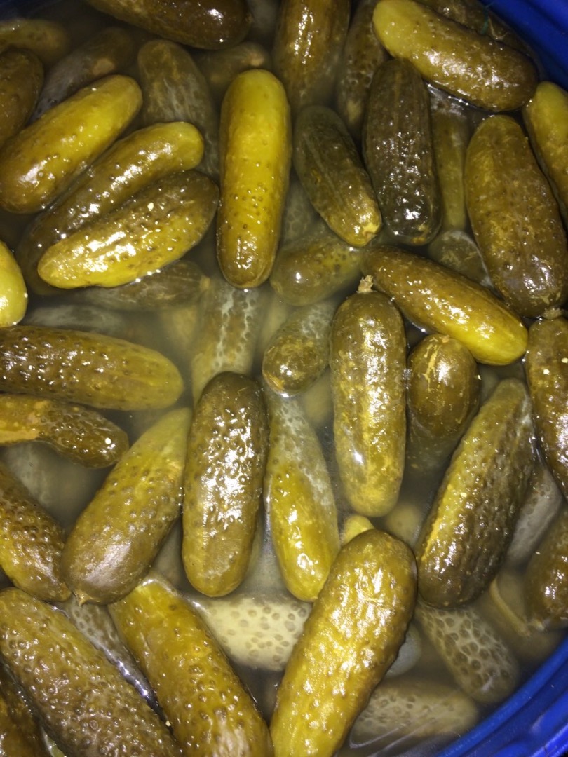 Tengo que vender pepinos encurtidos 6-9cm
