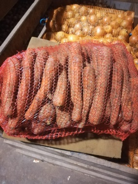 Venderé zanahoria Fantasia
