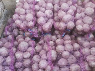 5. Venderé remolacha de la variedad Boro; 10ton; Cal.
