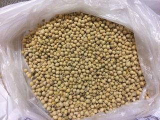 Bienvenido La empresa Unique Product Sp. z o. o.