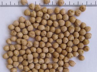 *** Guisantes *** Parámetros de calidad: Pureza - 99.9%