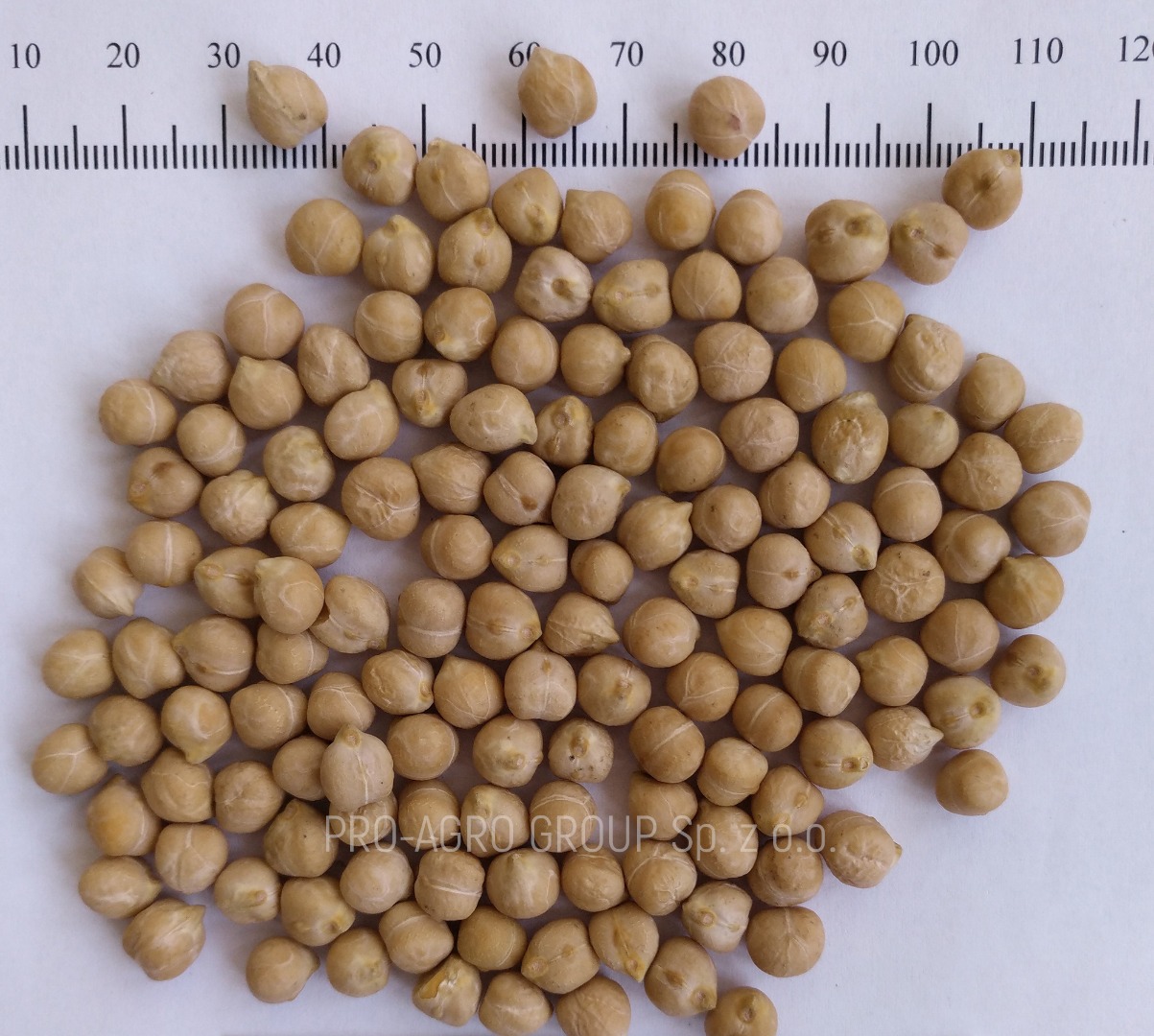 *** Guisantes *** Parámetros de calidad: Pureza - 99.9% Humedad - no más de 12.0% Aditivos de basura - 0% Granos dañados - 0.1% Calibre - 6+ 7+ 8+ Periodo de