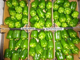 Venderé pimientos verdes, clase I, los invito a cooperar.