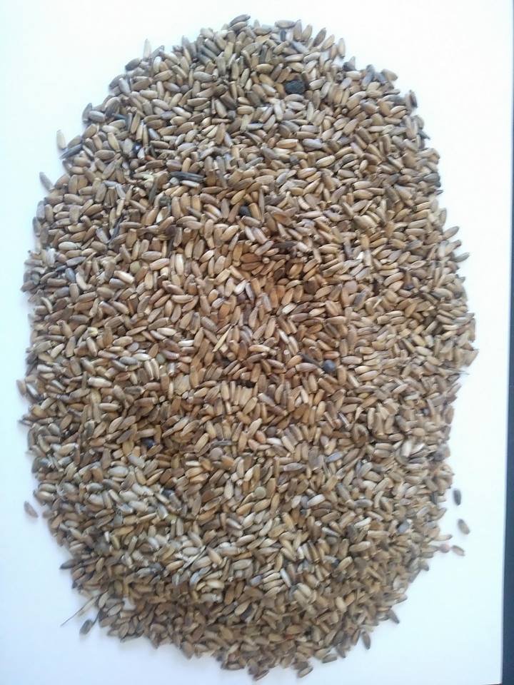 Humedad no superior al 6% Pureza no inferior al 97%