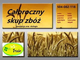 Compraré cereales convencionales y ecológicos: centeno, triticale, avena, cebada,