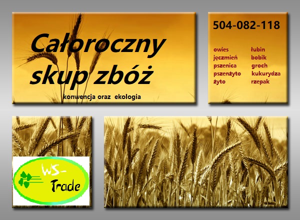 Compraré cereales convencionales y ecológicos: centeno, triticale, avena, cebada, trigo, así como lupino, frijol, guisantes, maíz, colza