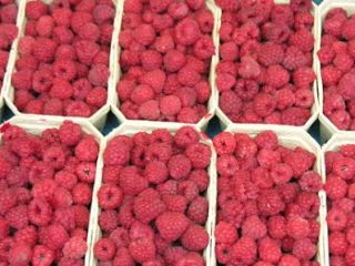 Te invitamos a comprar frambuesas directamente del agricultor. Cultivamos