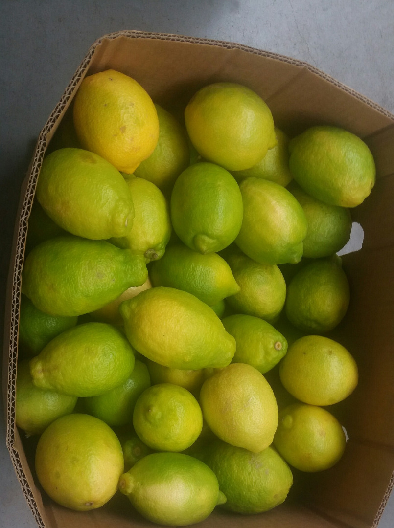 Venderé un limón barato de clase 2 para jugo
