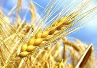 COMPRA: trigo, triticale, avena, centeno, cebada, maíz, soja, arvejas,