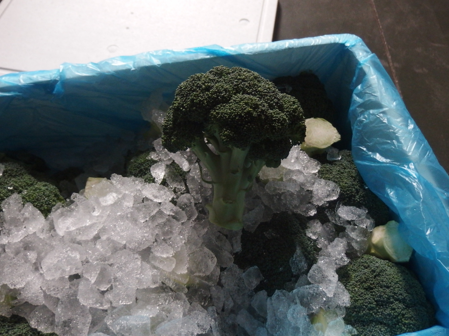 Venderé cantidades al por mayor de brócoli. Coliflor, brócoli
