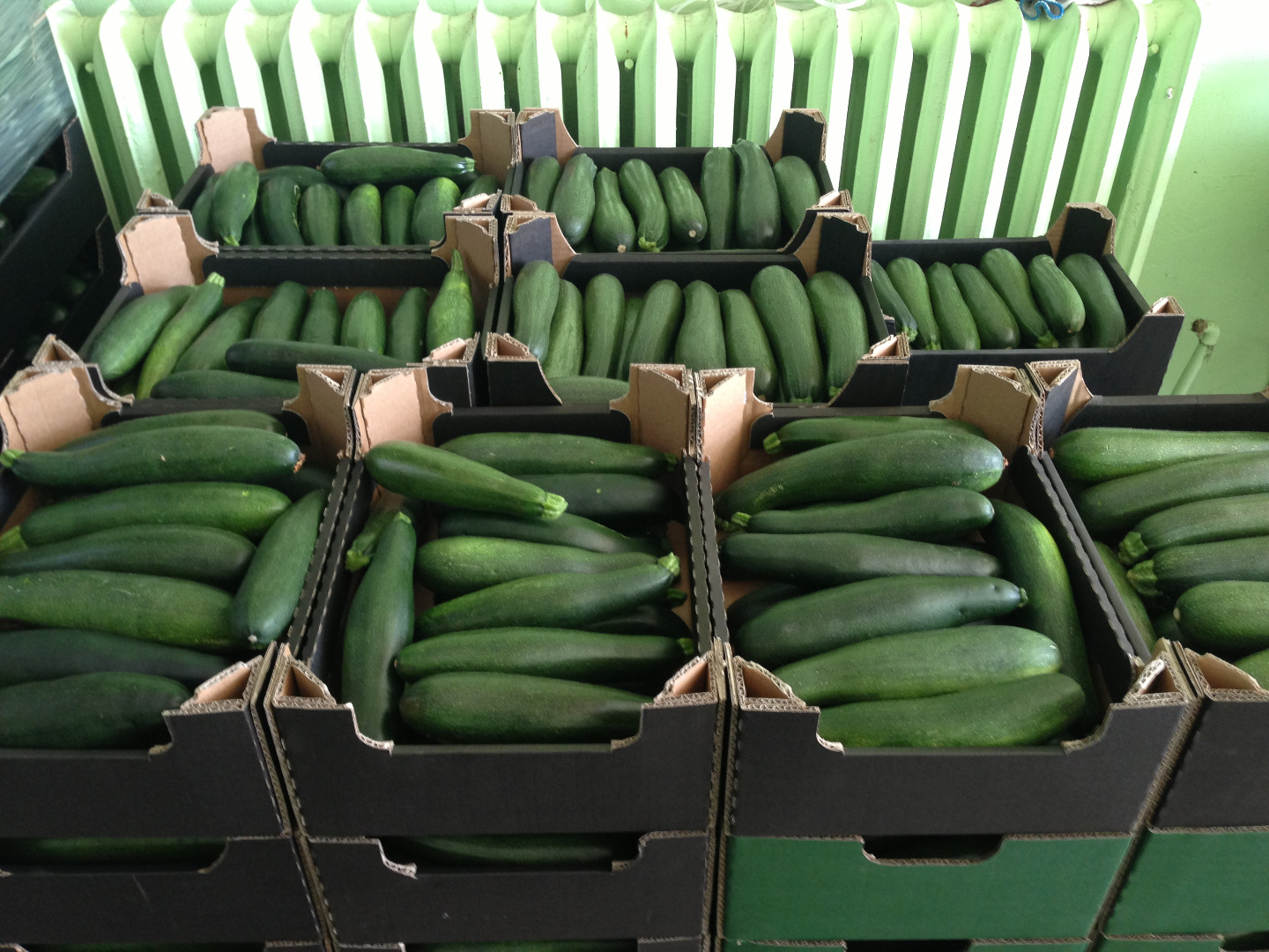 Venderé calabacines.