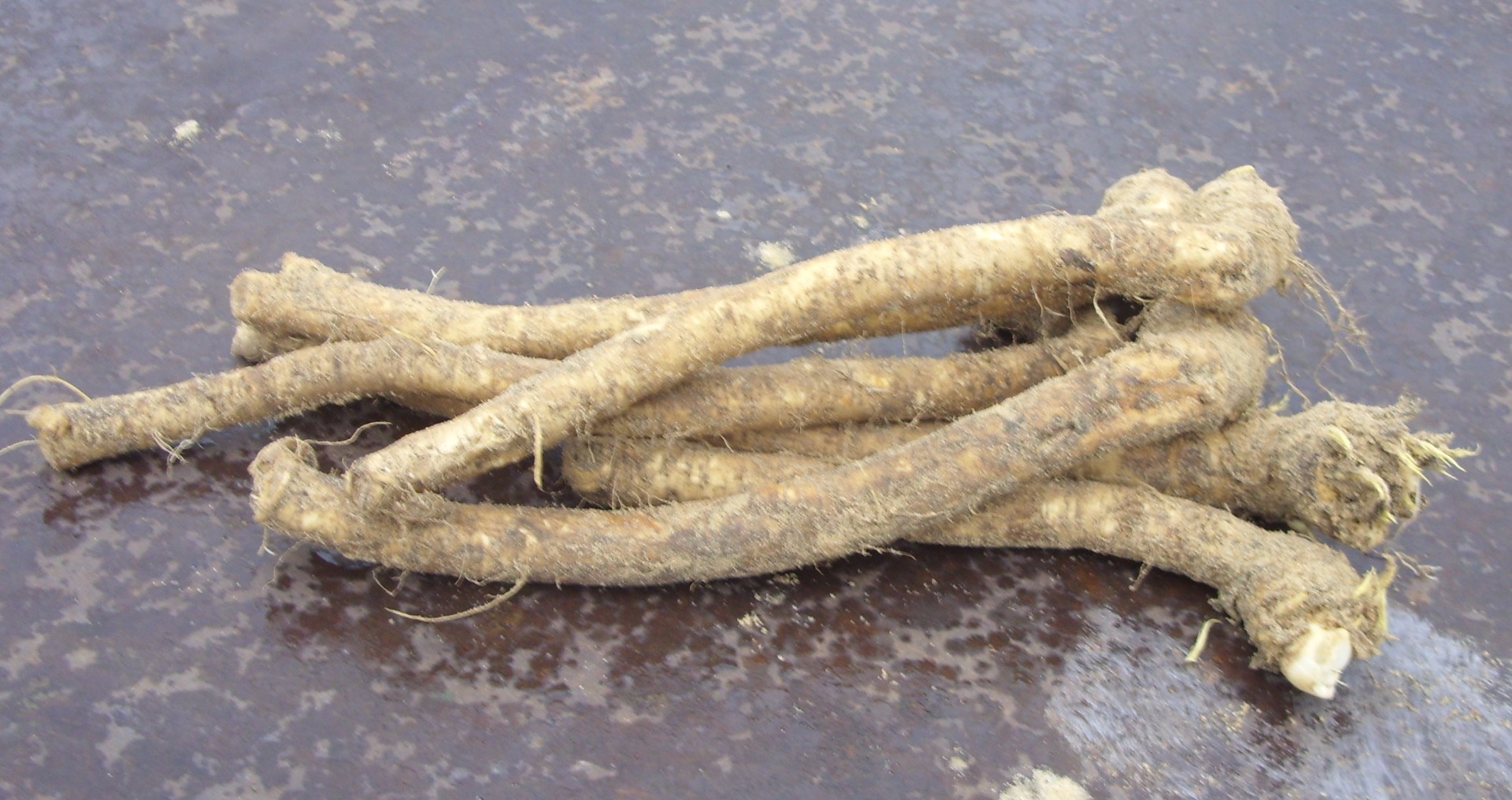 Venderé rábano picante, variedad vieja polaca, precio a negociar.