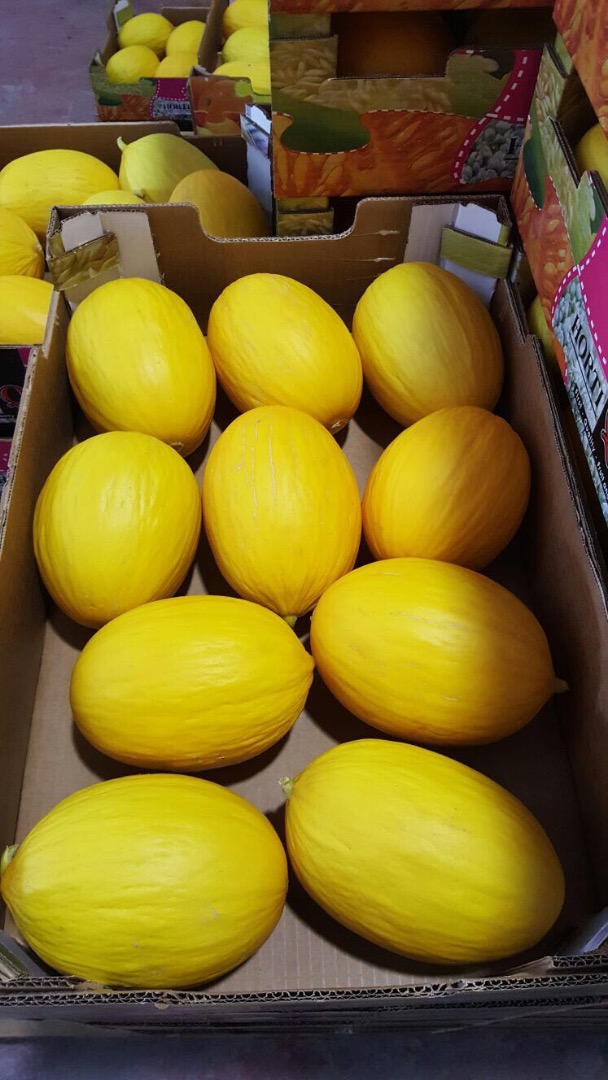 Descripción: Tengo una venta de melón amarillo y verde