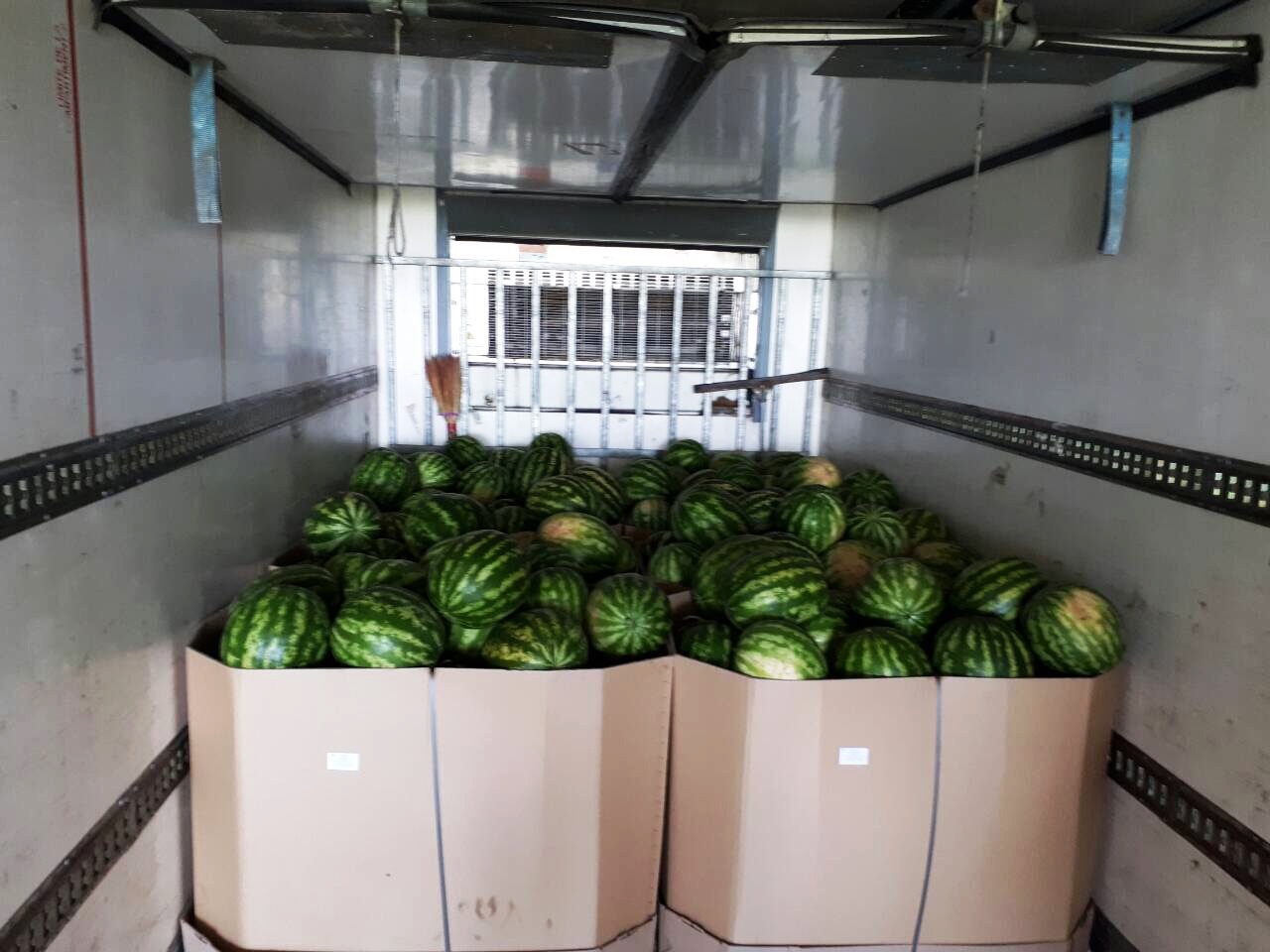 Venderé sandías en un palet de 400 kg. Calibre