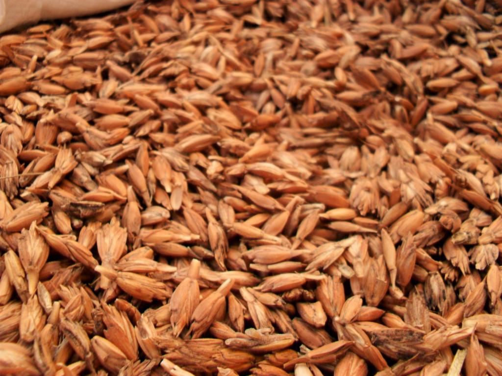 Venderé Spelled Seeds con origen documentado, a partir de