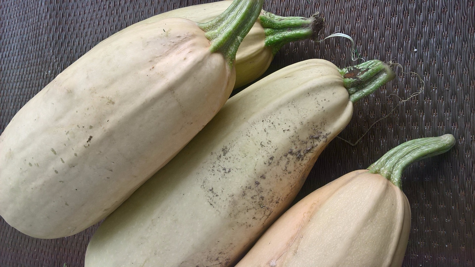 Calabazas hermosas, recién cosechadas de la agricultura orgánica. Sabroso