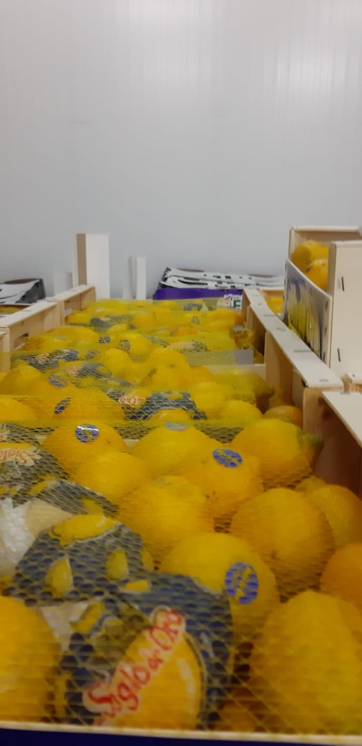 LAS TERRAZAS ESTÁN ABIERTAS !!!! LIMON PARA HORECA !!!!! Limones para Horeca, origen España, variedad Verna: calibre 2/3 / 4- calidad II - 4.2 ron / kg calibre
