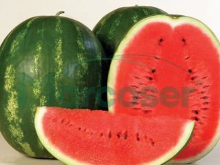 Vand melon soi karistan. Para más detalles no dude