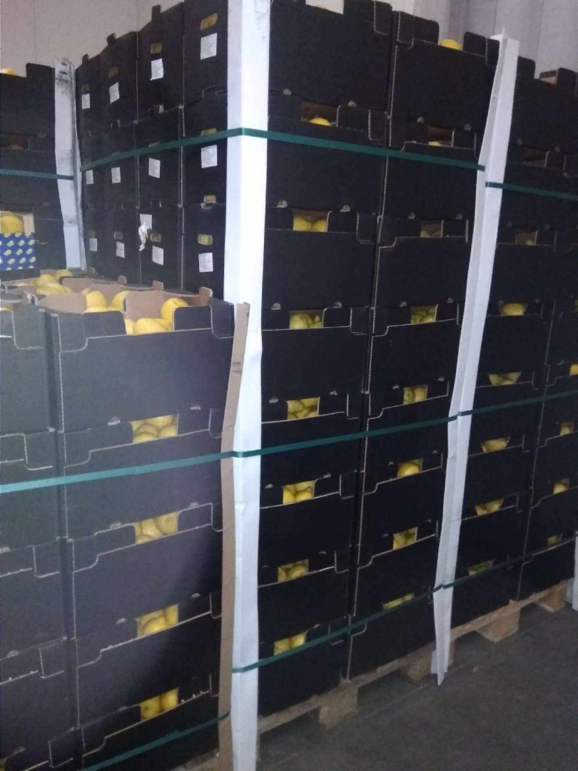 Verna limón a la venta, primera clase de unas 20 toneladas