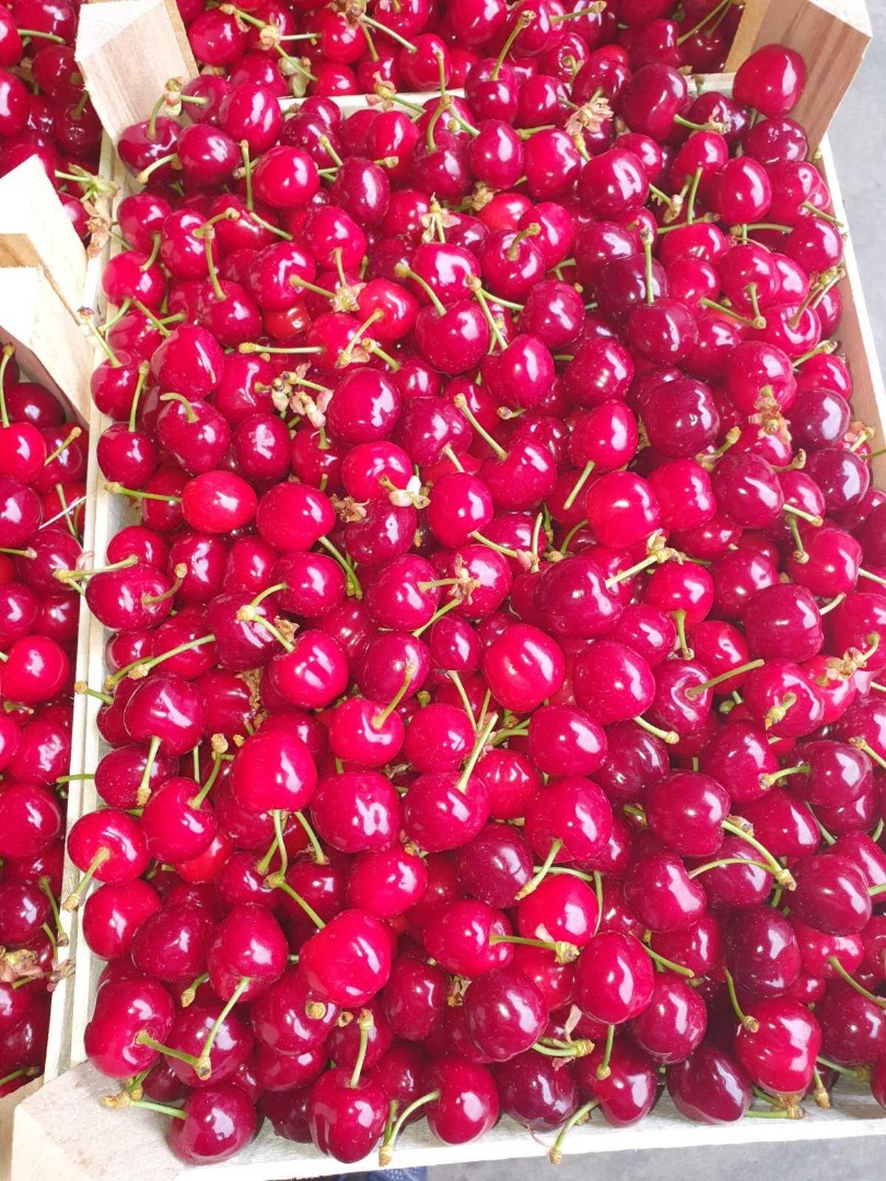 Ofrecemos frutas, bayas y verduras de temporada del país de origen Serbia