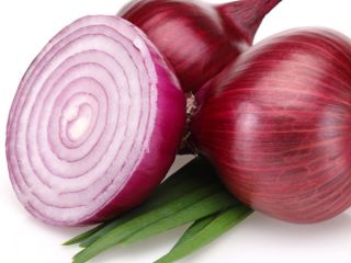 Venta caliente 2019 semillas de cebolla roja híbrida de