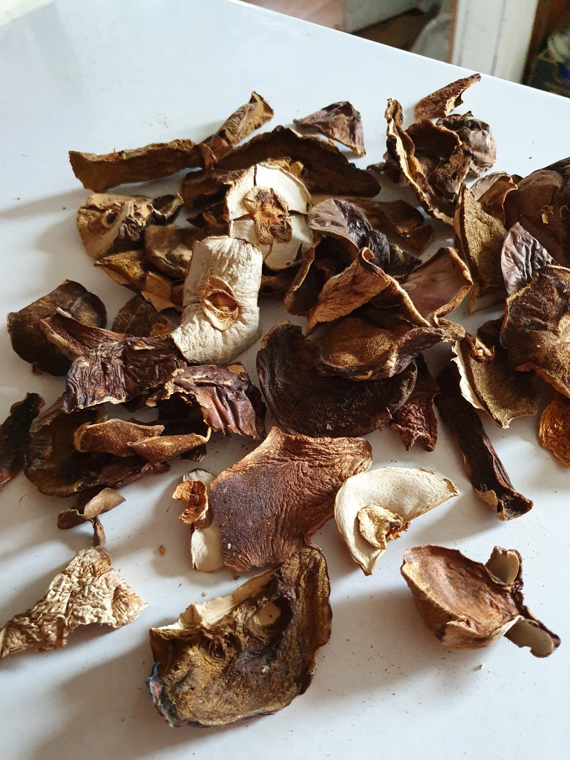 Boletus secos, en rodajas, 2019, orgánicos, 5 kg