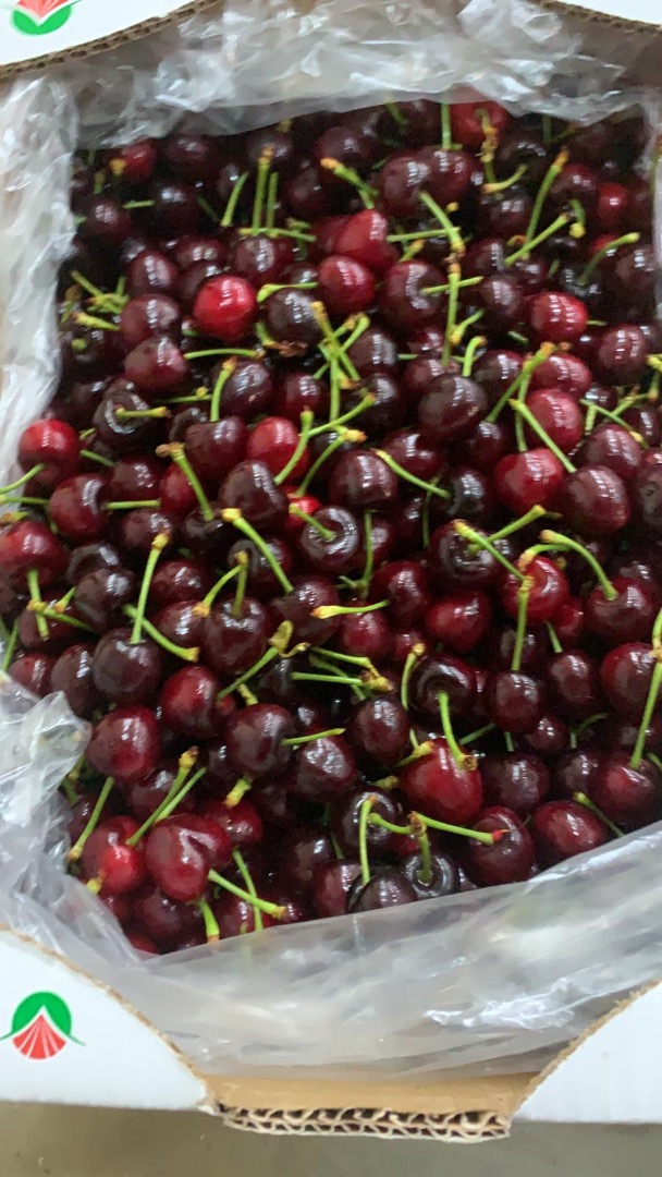 Ofrezco cerezas de Turquía, variedad Napoleón, calibre 28+