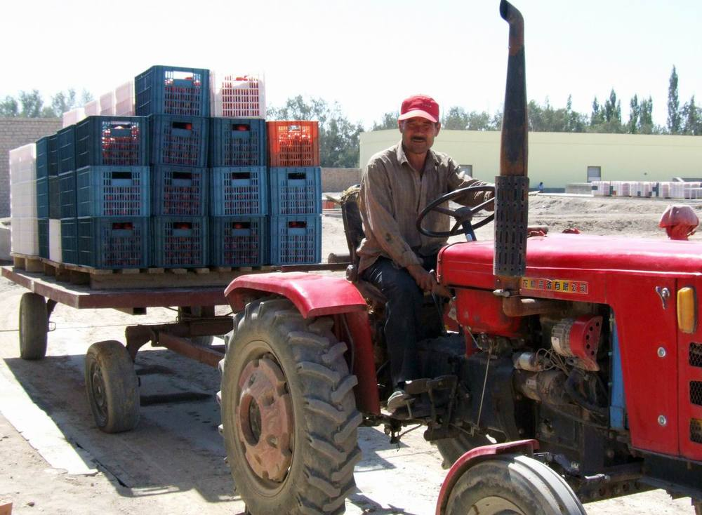 También podemos suministrarle TOMATES FRESCOS Y SECOS