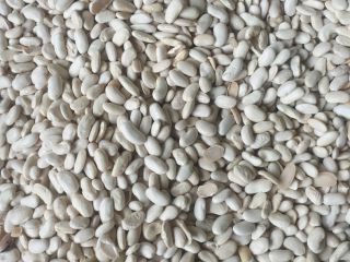 Estoy vendiendo frijoles seleccionados, frijoles blancos al precio de