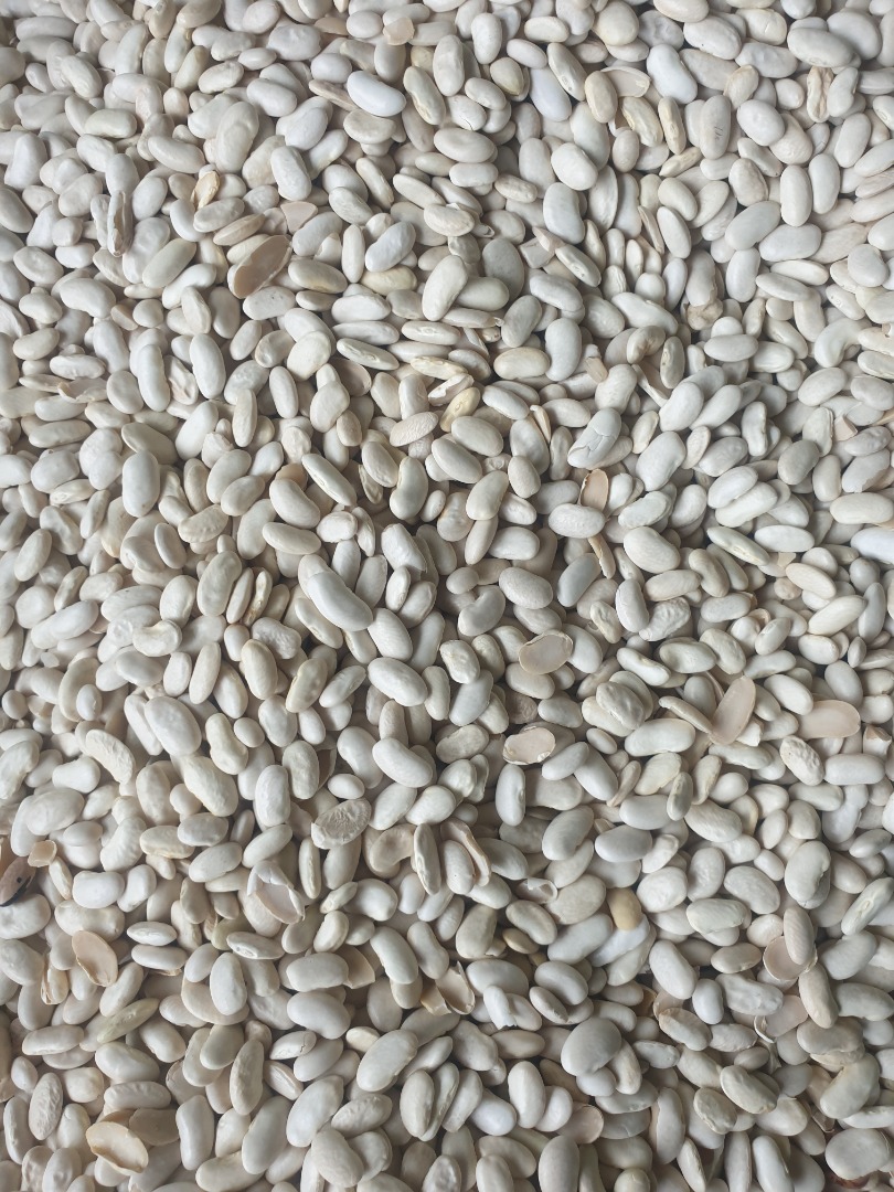 Estoy vendiendo frijoles seleccionados, frijoles blancos al precio de 4.5 lei / kg Estoy vendiendo frijoles mezclados con frijoles rojos, el precio de 2.2 lei