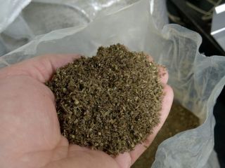 alrededor de 5 toneladas de inflorescencia de cannabis orgánico