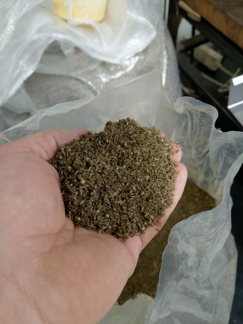 alrededor de 5 toneladas de inflorescencia de cannabis orgánico Sativa L Fibrol79 THC
