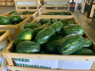 ¡Entregas directas de sandías y melones desde Grecia! Estaremos