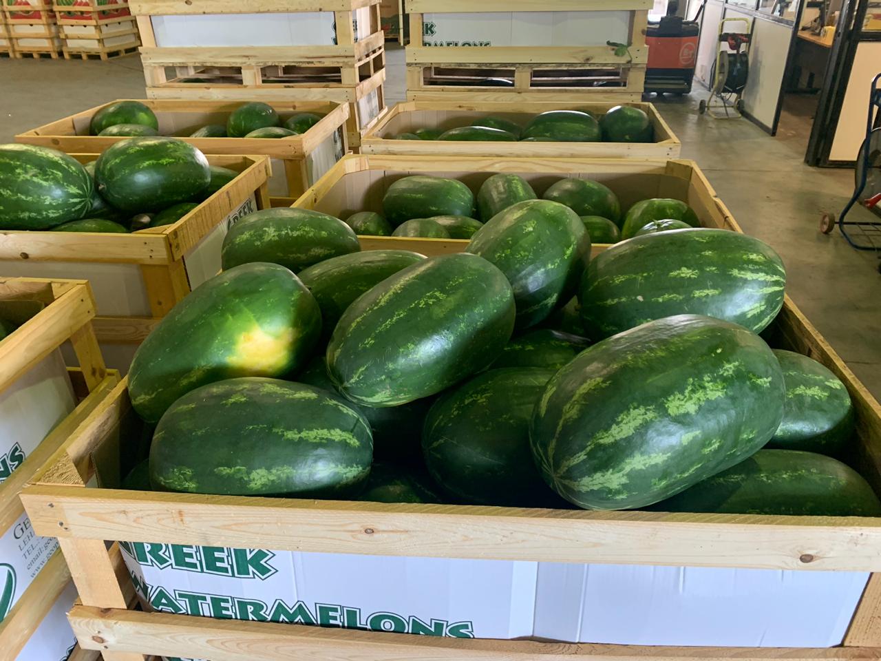 ¡Entregas directas de sandías y melones desde Grecia! Estaremos encantados de cooperar