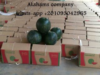(Compañía ALshams para importación y exportación general) Oferta para