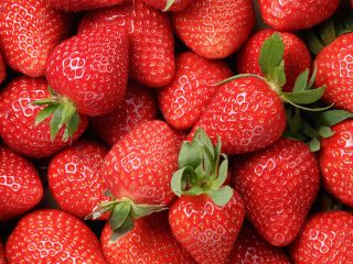 Hola. Puedo ofrecer diferentes variedades de fresas de alta